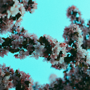 男人给女人添p添到高潮图片
